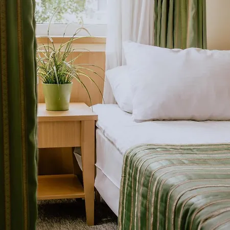 Hotel Vita 3* Druskininkai