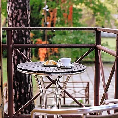 Hotel Vita 3* Druskininkai