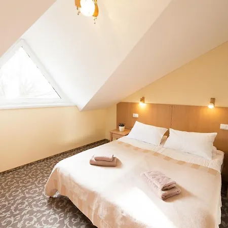 Hotel Vita Druskininkai