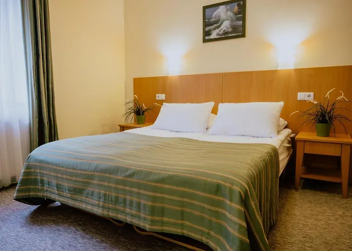 Hotel Hotel Vita Druskininkai