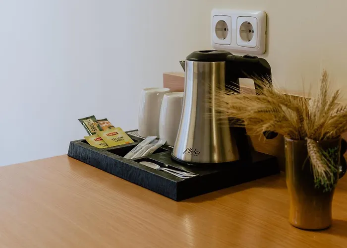 Hotel Vita Hotel Druskininkai