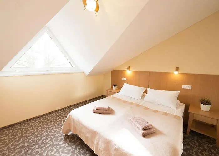 Hotel Vita Druskininkai